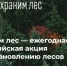 В этом году Севприроднадзор высадит свыше 7 тысяч лесных деревьев - Правительство Севастополя