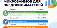 Микрозаймы для малого и среднего предпринимательства - Минцифры ЛНР