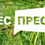 Продолжается прием заявок на IV Всероссийский конкурс для журналистов и блогеров «ЛЕС-ПРЕСС» - Министерство лесного хозяйства