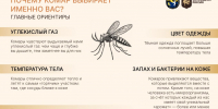 Писк сезона - Заповедник Нургуш