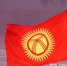 Айдар Гашигуллин сменил Айнура Саманова на посту торгпреда РФ в Киргизии - Реальное время