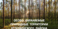 Особо охраняемые природные территории регионального значения в Устюженском округе обследовали специалисты министерства лесного комплекса - Правительство Вологодской области