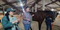 «Спокойствие от природы» с экспертами НГАТУ - НГСХА