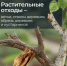 ООО «МСК-НТ»: Веткам и ботве не место на контейнерных площадках - ЗА Новомосковск