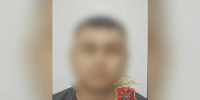 Иностранец заключен под стражу за взятку полицейскому в Донском - ИА Тульская служба новостей