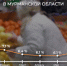 Инфляция в Мурманской области замедлилась до 6,6% - Телекомпания ТВ-21
