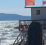Новороссийску пообещали до +37 и красные флаги на пляжах - Газета Новороссийский рабочий