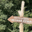В Крыму более 50 мест отдыха для граждан на территории лесного фонда - Минприроды