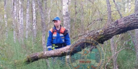 Женщина, которая ушла в лес и пропала во Всеволожском районе, погибла - 47 новостей