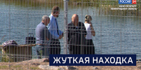 Вести 24 - ГТРК Санкт-Петербург