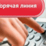 Горячая линия по вопросу " О мерах государственной поддержки инвестиционной деятельности в Хабаровском крае " - Министерство экономического развития