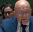 Небензя: России не нужна массовая мобилизация - Spbdnevnik.ru