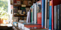 Нижегородцам рассказали, как распознать книгу с ИИ по автору и издательству - ProGorodNN.Ru