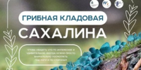 «Грибная кладовая Сахалина». Уникальная фотовыставка открывается в краеведческом музее - Минкультуры Сахалинской области