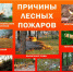 Оперативная обстановка с лесными пожарами по состоянию на 21 августа 2026 года. - Богучанский муниципальный округ