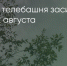 Поделитья во ВКонтакте - Братская Студия Телевидения