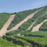 h19axs3oadksznjvt3kktdlhfe4xvzq4.jpeg - Primorye24.Ru