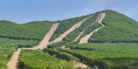 h19axs3oadksznjvt3kktdlhfe4xvzq4.jpeg - Primorye24.Ru