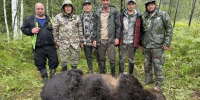 На Алтае могли уничтожить медведя, напавшего на туристку из Новосибирска - Сиб.фм