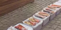 Брата и сестру поймали на продаже икры с запрещённым консервантом на Камчатке - КамИНФОРМ