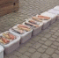 Более 100 килограммов опасной икры и рыбы изъяли у брата и сестры на Камчатке. - ИА Камчатка