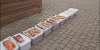 Более 100 килограммов опасной икры и рыбы изъяли у брата и сестры на Камчатке. - ИА Камчатка