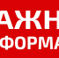 Африканская чума свиней: что нужно знать владельцу для защиты хозяйства - Департамент сельского хозяйства
