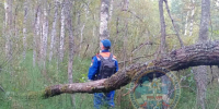 В лесу у поселка Кузьмоловский нашли тело пропавшей женщины - ЛенТВ24
