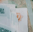 Фото: - Вологда-поиск
