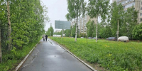 Улица Петрозаводска в пасмурную погоду. - Петрозаводск говорит