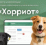 В Орске продолжаются рейды по контролю за содержанием животных - Город Орск