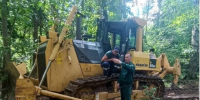В эти выходные в лес ходить опасно - Знамя Октября