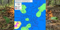 Сводка пожароопасности на 20.08.2026 - Министерство лесного хозяйства