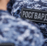 В Красноярске росгвардейцами задержан подозреваемый в краже из строительного гипермаркета - УВО ВНГ России по Красноярскому краю