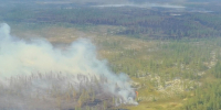 В Нижневартовском районе после затишья снова горят леса - NV86.Ru