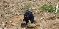 В Лужском районе нашли авиабомбу времен Великой Отечественной войны - Газета Лужская правда