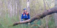 Пропавшую в лесу под Кузьмоловским женщину нашли погибшей - Online47.Ru