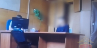 В Донском отправили в СИЗО мигранта за попытку подкупить полицию - Молодой коммунар