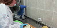 Качество волгоградских дынь изучили в лабораторных условиях - Газета Городские вести