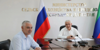 Более 1,2 млн тонн грубых кормов заготовили в Дагестане с начала года - РИА Дагестан