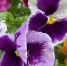 Фото: News29 - News29.Ru