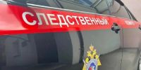 Жительница Новосибирска спрятала младенца в пакет и оставила умирать - Gorsite.Ru