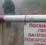 Фото: Дзен - GoBalakovo.Ru