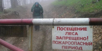 Фото: Дзен - GoBalakovo.Ru