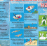 БЕЗОПАСНОСТЬ НА ВОДЕ - Кореновский район