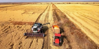 Уборка урожая - UstLabInfo.Ru