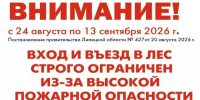 Ограничение на посещение лесов продлено до 13 сентября в Липецкой области - Allelets.Ru