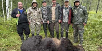 В Республике Алтай за двое суток ликвидировали 12 опасных медведей - 1-LINE
