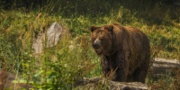 Фото © magnific.com - KaspyInfo.Ru