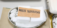 Народные методы обработки раны при порезе могут привести к заражению - Spbdnevnik.ru